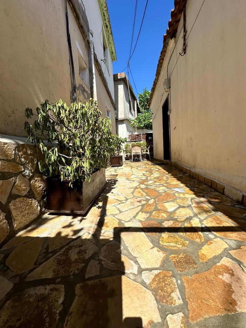 Hostel Leon Berat Extérieur photo